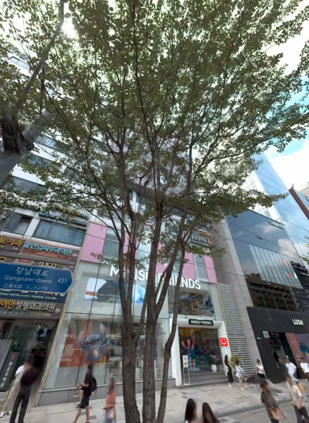 tree photo