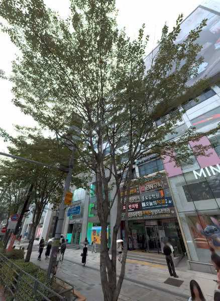 tree photo