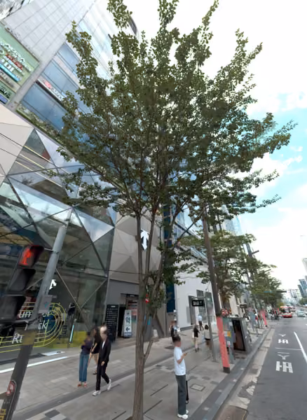 tree photo
