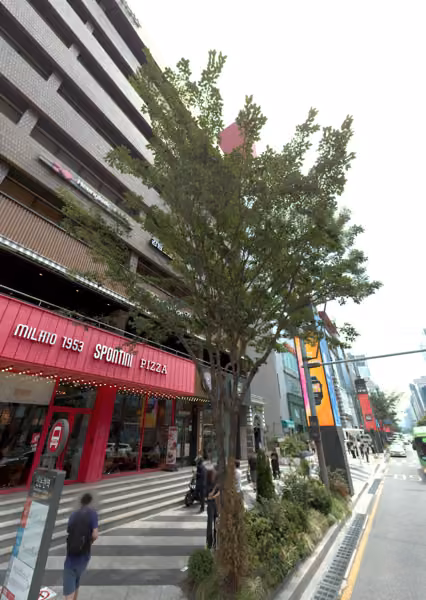 tree photo