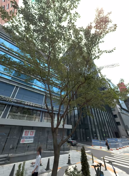 tree photo