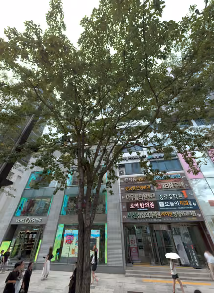 tree photo