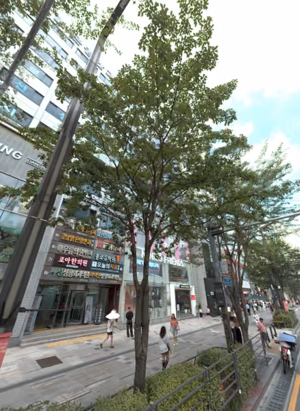 tree photo