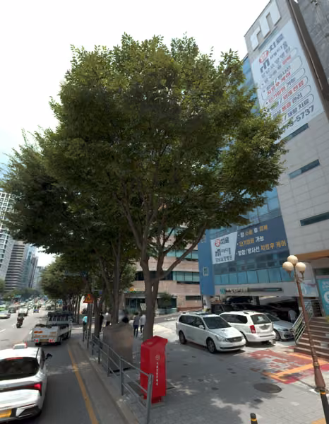 tree photo