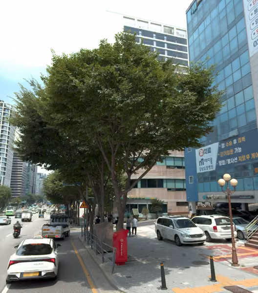 tree photo
