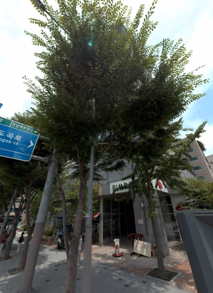 tree photo
