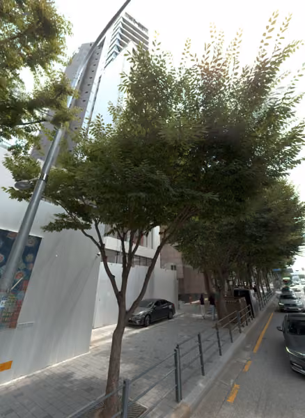 tree photo