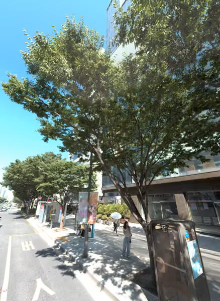tree photo