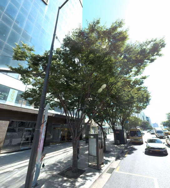 tree photo
