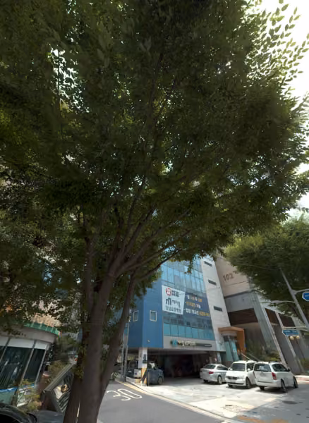 tree photo