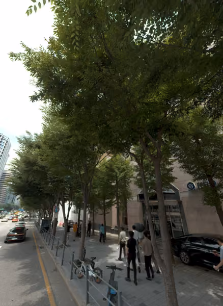 tree photo