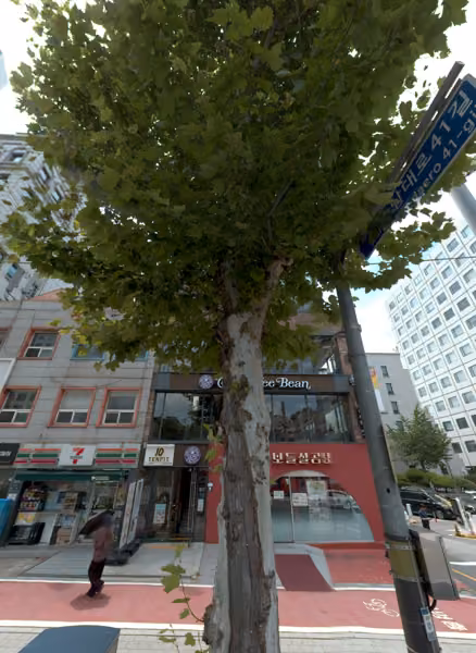 tree photo