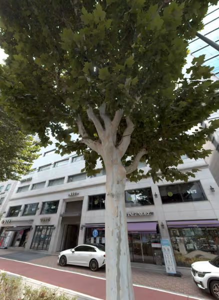 tree photo