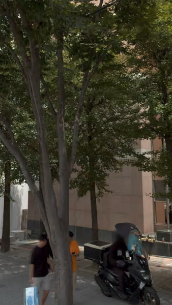 tree photo