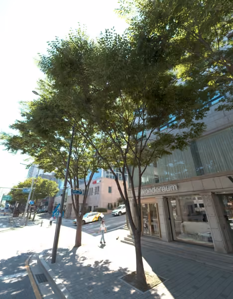tree photo