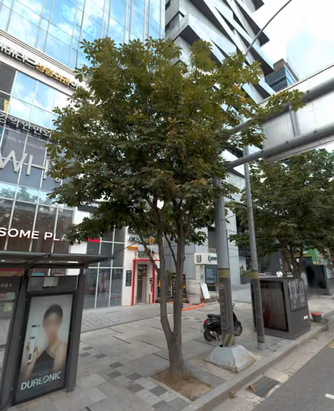 tree photo
