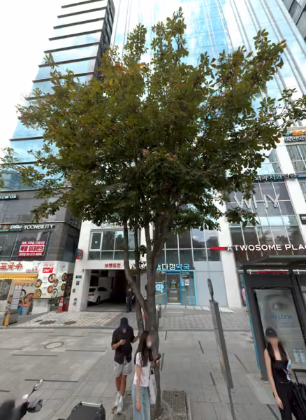 tree photo