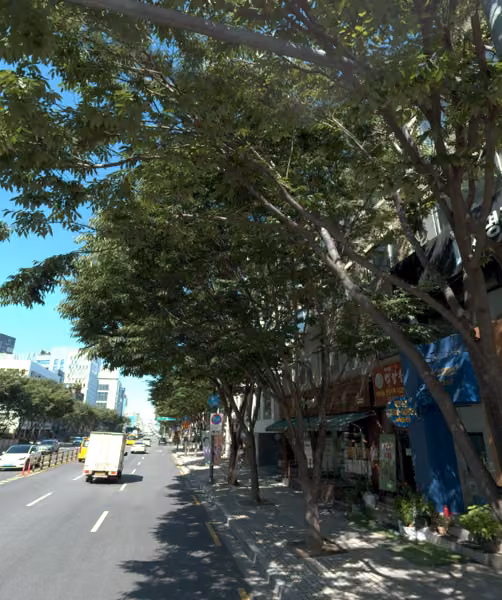 tree photo