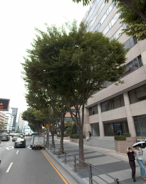 tree photo