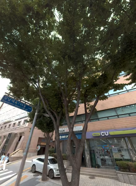 tree photo