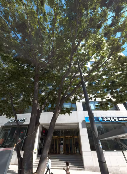 tree photo