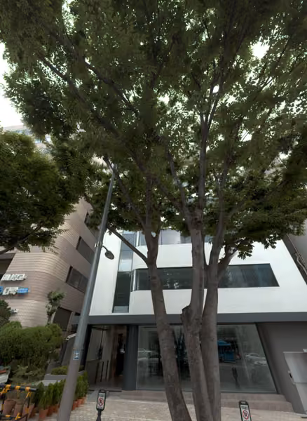 tree photo