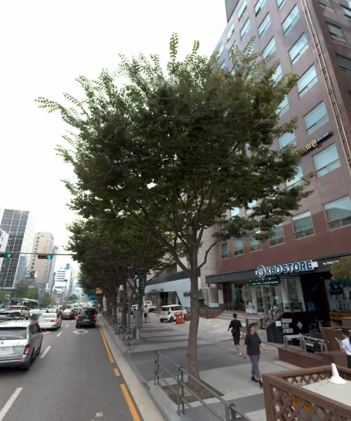 tree photo