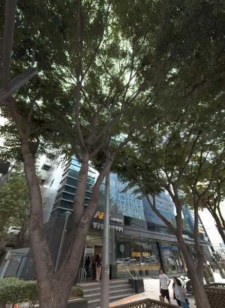 tree photo