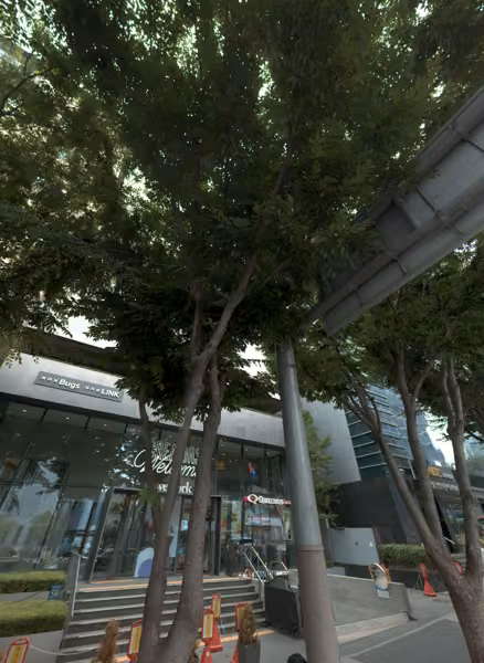 tree photo