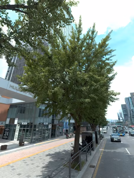 tree photo