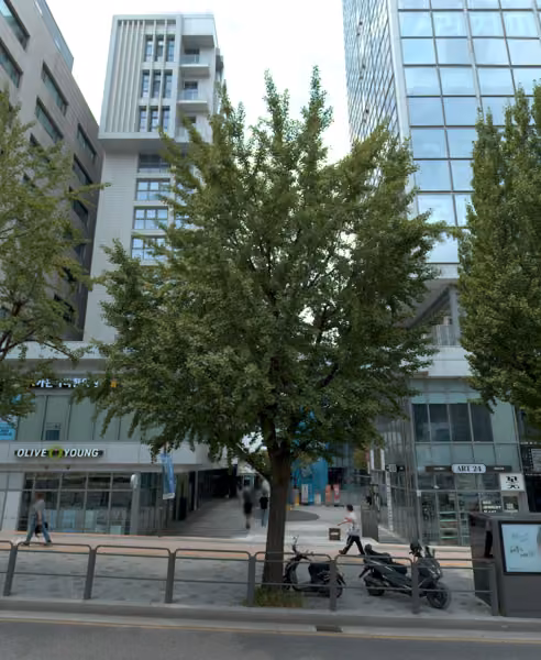tree photo