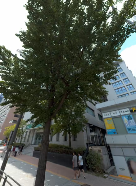 tree photo