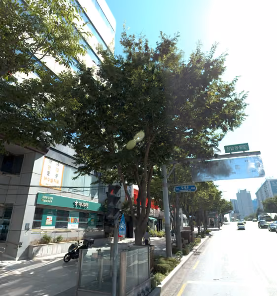 tree photo