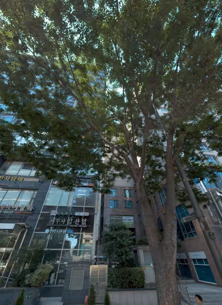 tree photo