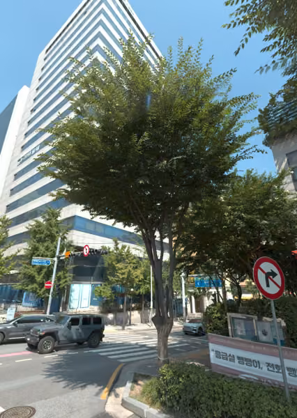 tree photo