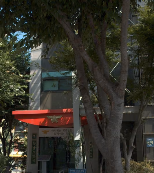 tree photo