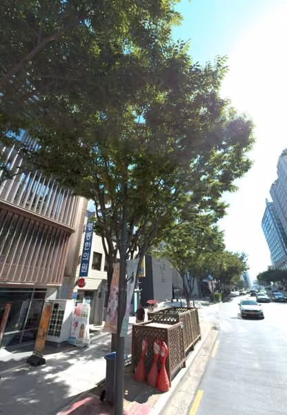 tree photo