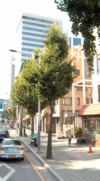 tree photo