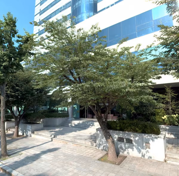 tree photo