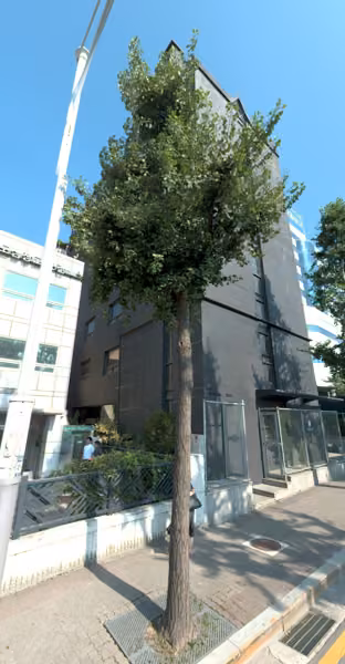 tree photo