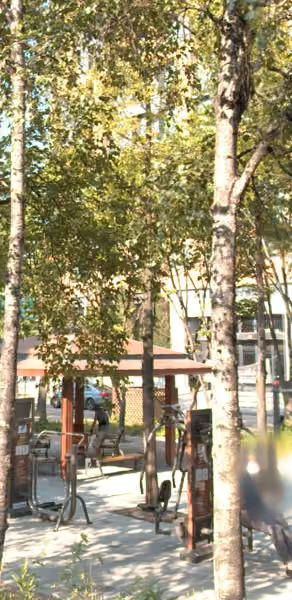 tree photo