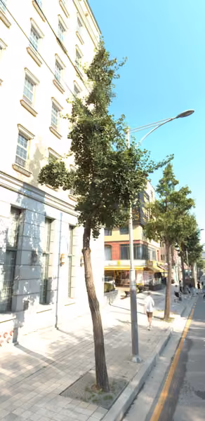 tree photo