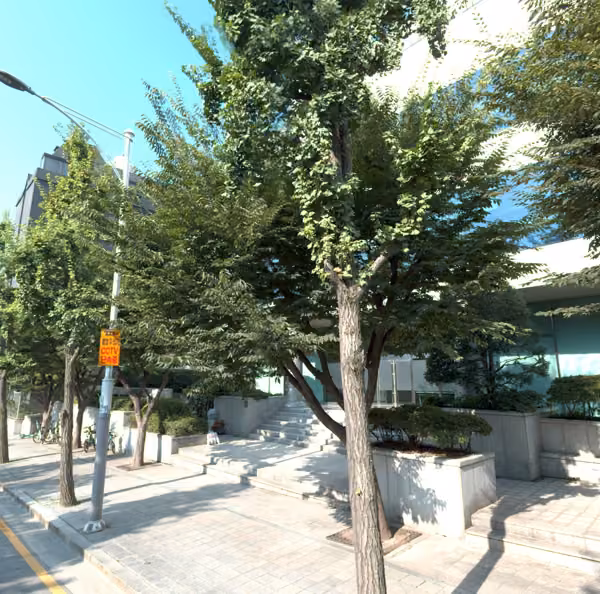 tree photo