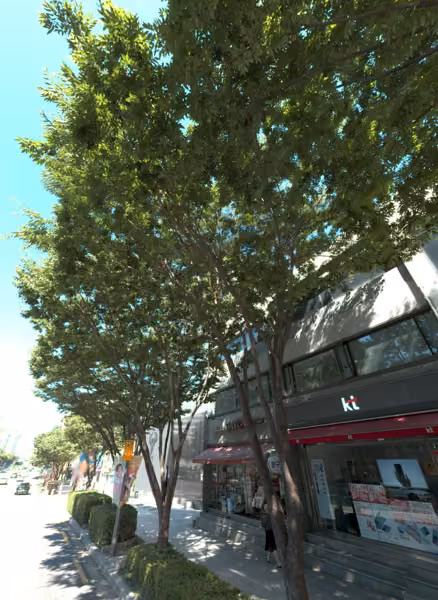 tree photo