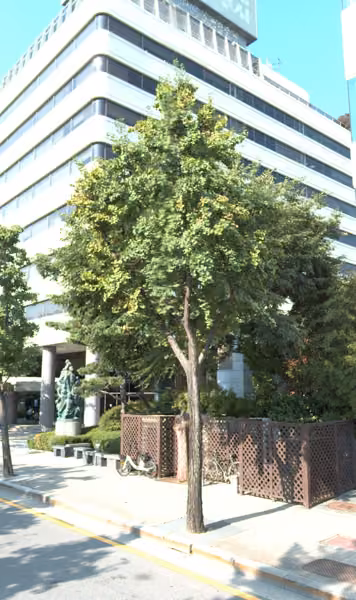 tree photo