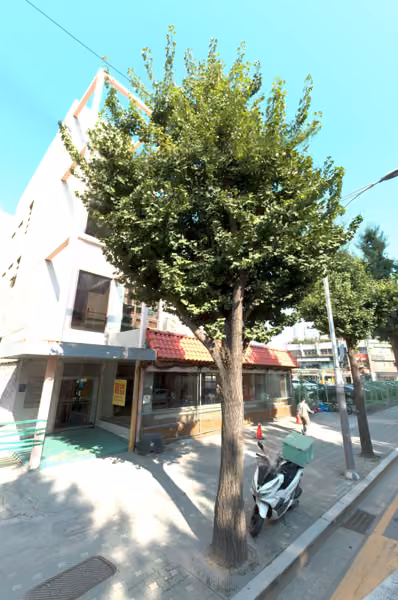 tree photo