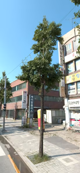 tree photo