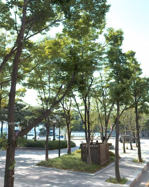 tree photo