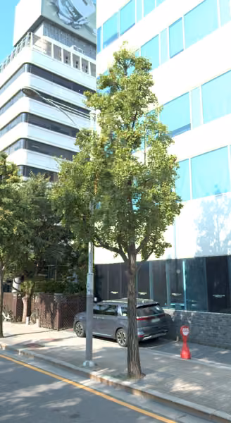 tree photo
