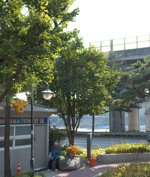 tree photo